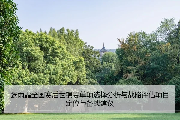 zhang-yu-fei-quan-guo-sai-hou-shi-jin-sai-dan-xiang-xuan-ze-fen-xi-yu-zhan-lve-ping-gu-xiang-mu-ding-wei-yu-bei-zhan-2-604.jpg